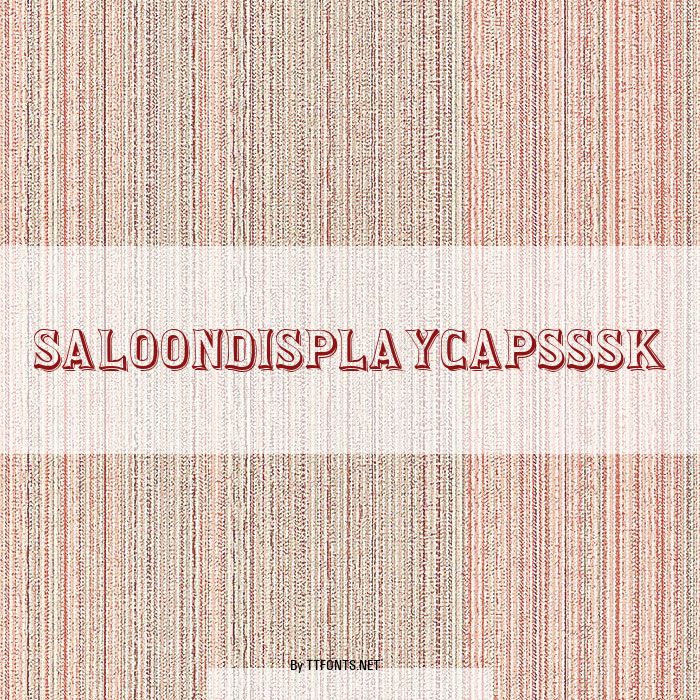 SaloonDisplayCapsSSK example